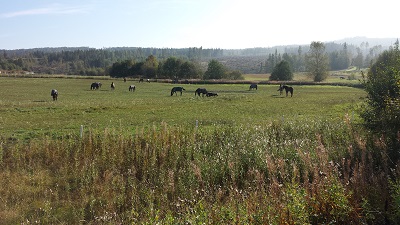 Valackshagen