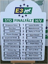 Tv till E3-final